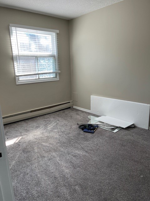 Spacious Bright 1 Bedroom Avalon Area